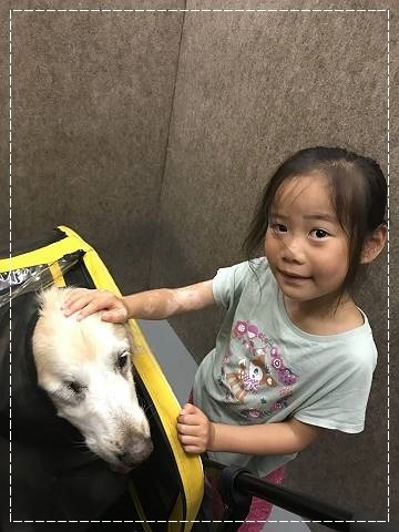 ブログIMG_2060-s-20181030こぴ.JPG