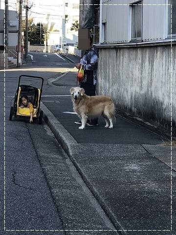 ブログIMG_2288-s-20181107こぴ.JPG