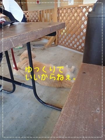 ブログP7220038-s-20180724こぴ.JPG