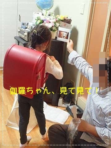ブログPB090018-s-20181110こぴ.JPG