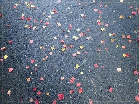ブログPB100024-s-20181110こぴ.JPG