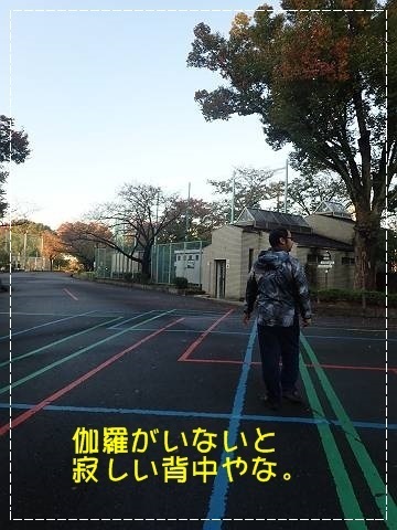 ブログPB100027-s-20181110こぴ.JPG
