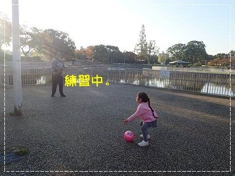ブログPB100033-s-20181110こぴ.JPG