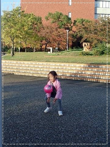 ブログPB100036-s-20181110こぴ.JPG