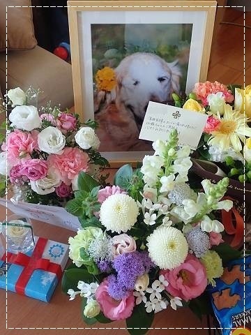 ブログPB100037-s-20181110こぴ.JPG