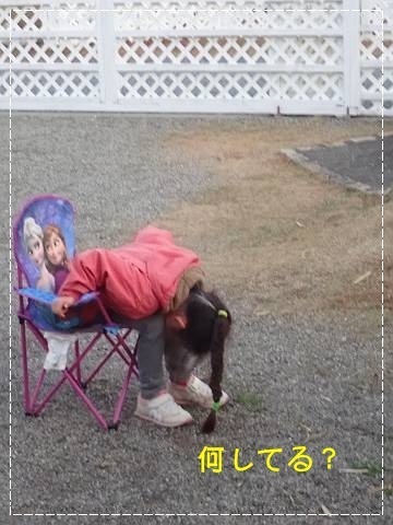 ブログPC010103-s-20181209こぴ.JPG