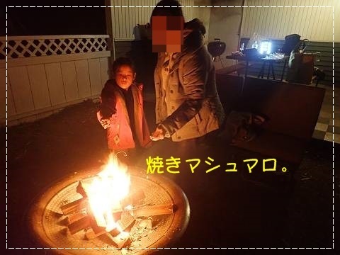 ブログPC010113-s-20181209こぴ.JPG